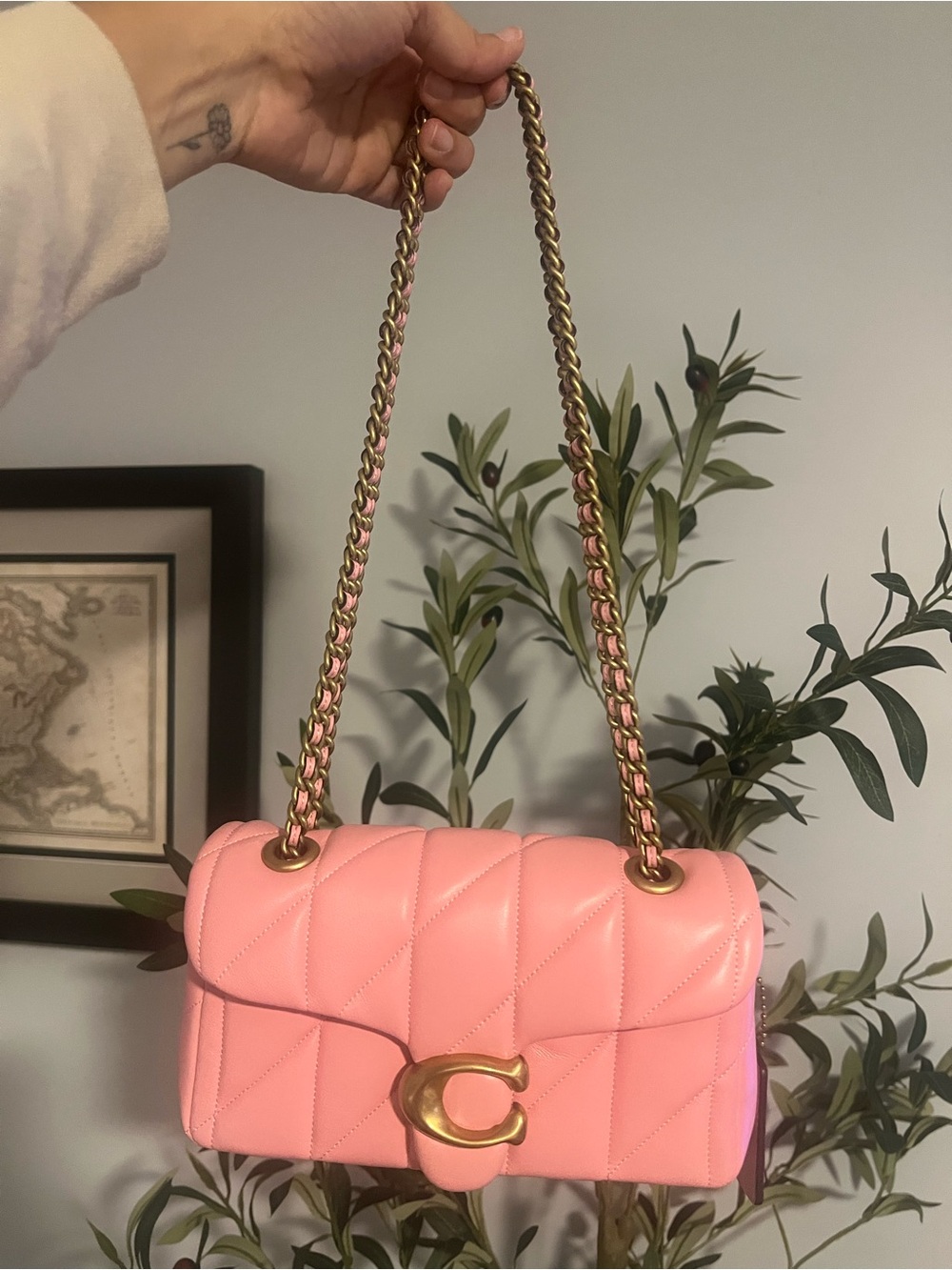Coach Flower Pink Tabby